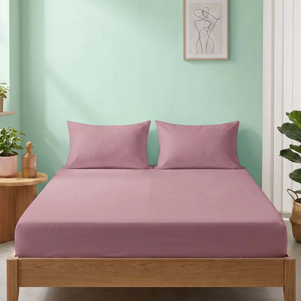 Clasy Ranforce Tek Kişilik Lastikli Çarşaf Takımı 120*200cm Gül Kurusu