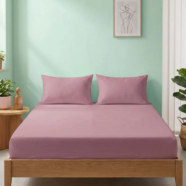 Clasy Ranforce Tek Kişilik Lastikli Çarşaf Takımı 120*200cm Gül Kurusu