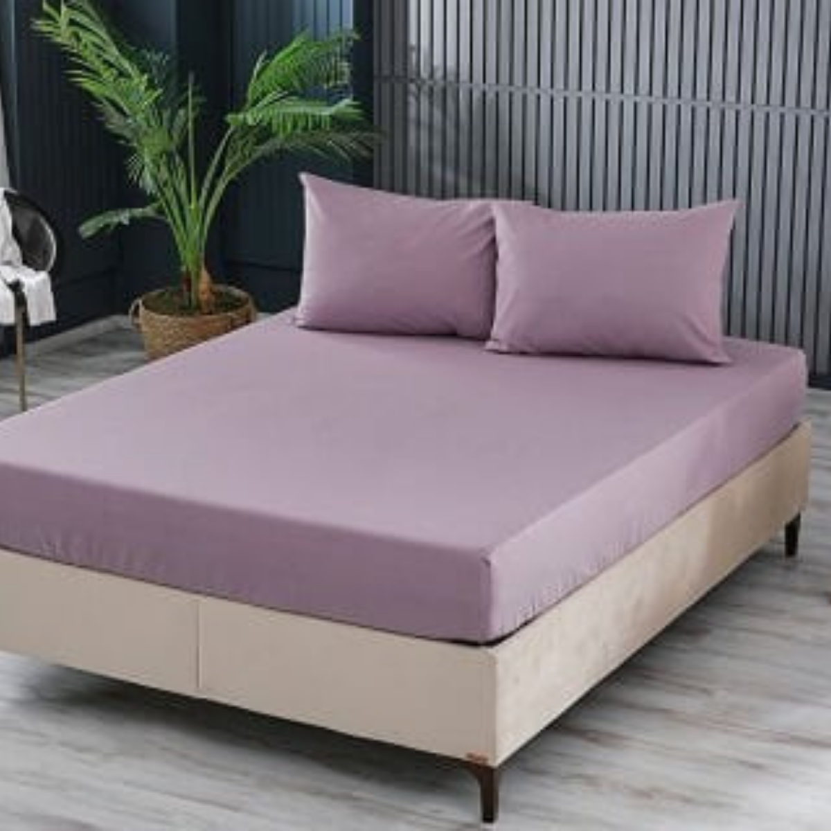 Clasy Ranforce Tek Kişilik Lastikli Çarşaf Takımı 120*200cm Lila