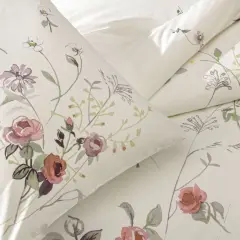 Taç Ranforce Çift Kişilik Nevresim Takımı Kiara Ekru