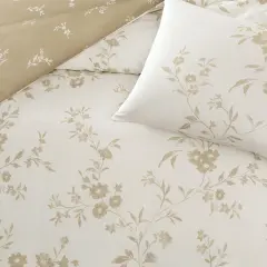 Taç Ranforce Çift Kişilik Nevresim Takımı Vellise Beyaz