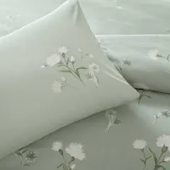 Taç Aveste Ranforce Çift Kişilik Nevresim Takımı Mavi